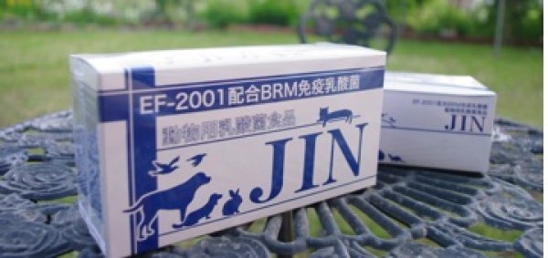 画像1: JIN《ジン》 （EF-2001乳酸菌） (1)